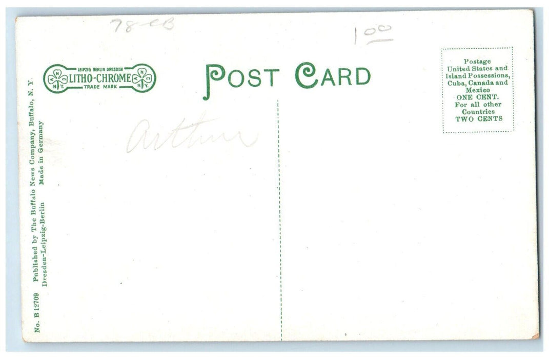 c1910 Fulton Street Building Exterior Horse Carriage Waverly New York Postcard