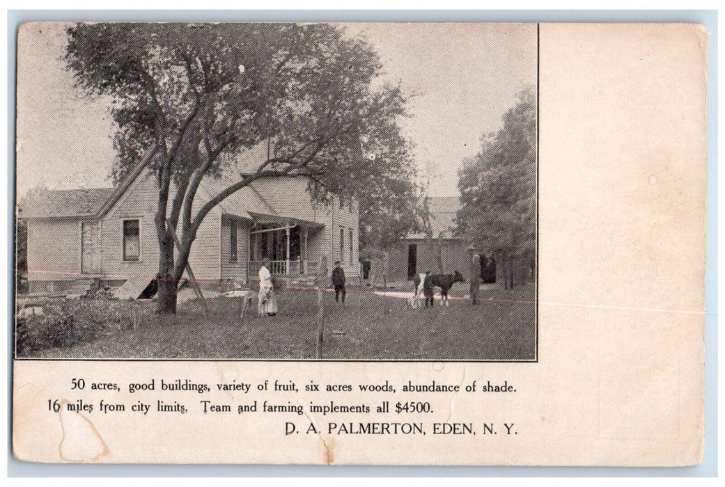 c1910's D. A. Palmerton Real State Advertising Eden New York NY Antique Postcard