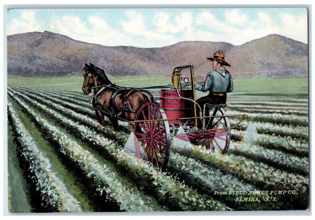 From Field Force Pump Co. Advertising Elmira New York NY Unposted Postcard
