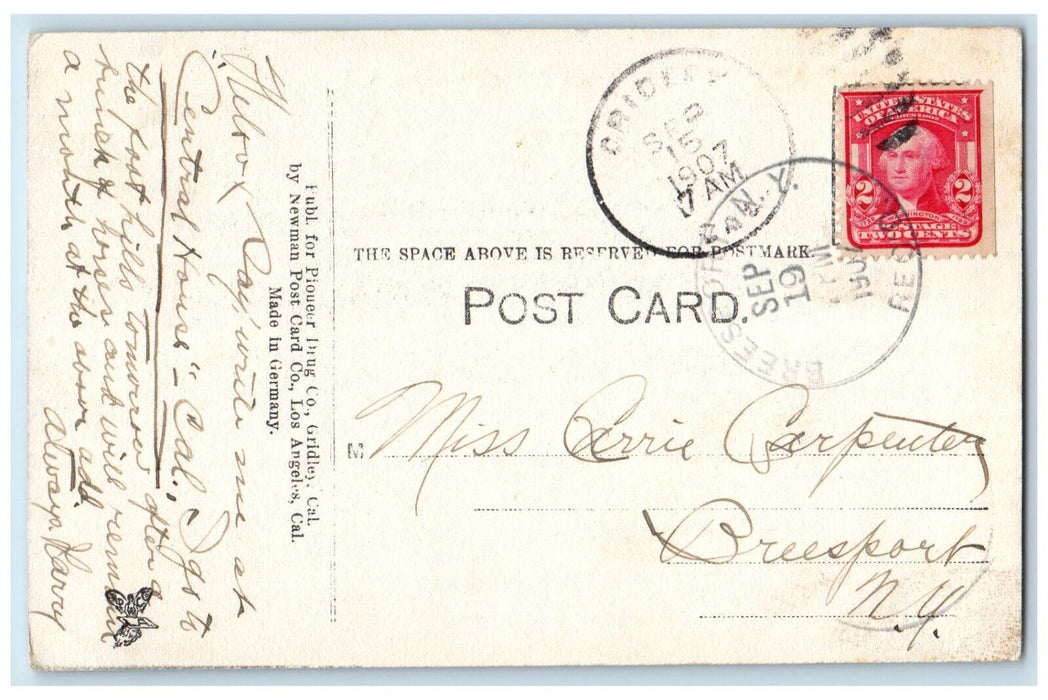 1907 Grammar School Gridley California CA Breesport New York NY Postcard