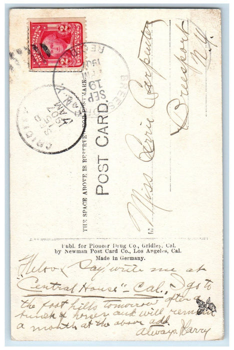 1907 Grammar School Gridley California CA Breesport New York NY Postcard