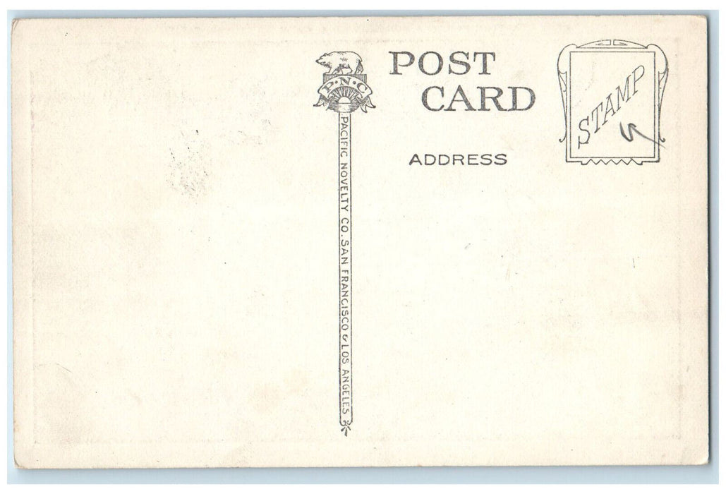 c1920's Gene Stratton Porter's Home Avalon Catalina Island CA Postcard