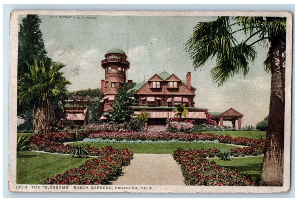 1912 The "Blossoms" Busch Gardens Pasadena California CA Phostint Postcard