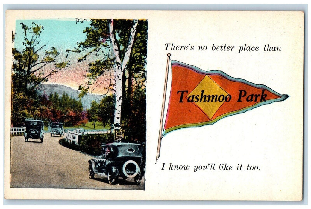 c1930's Tashmoo Park Pennant Cars Algonac Michigan MI Unposted Vintage Postcard