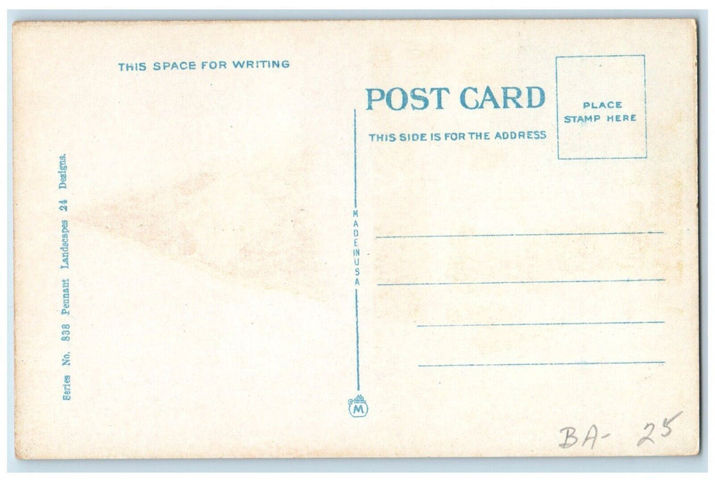 c1930's Tashmoo Park Pennant Cars Algonac Michigan MI Unposted Vintage Postcard