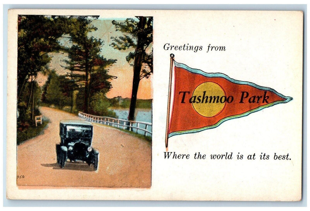 Greetings From Tashamoo Park Algonac Michigan MI, Car Unposted Vintage Postcard