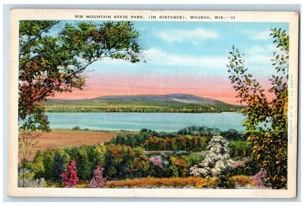 c1930's RIB Mountain State Park In Distance Wausau Wisconsin WI Antique Postcard