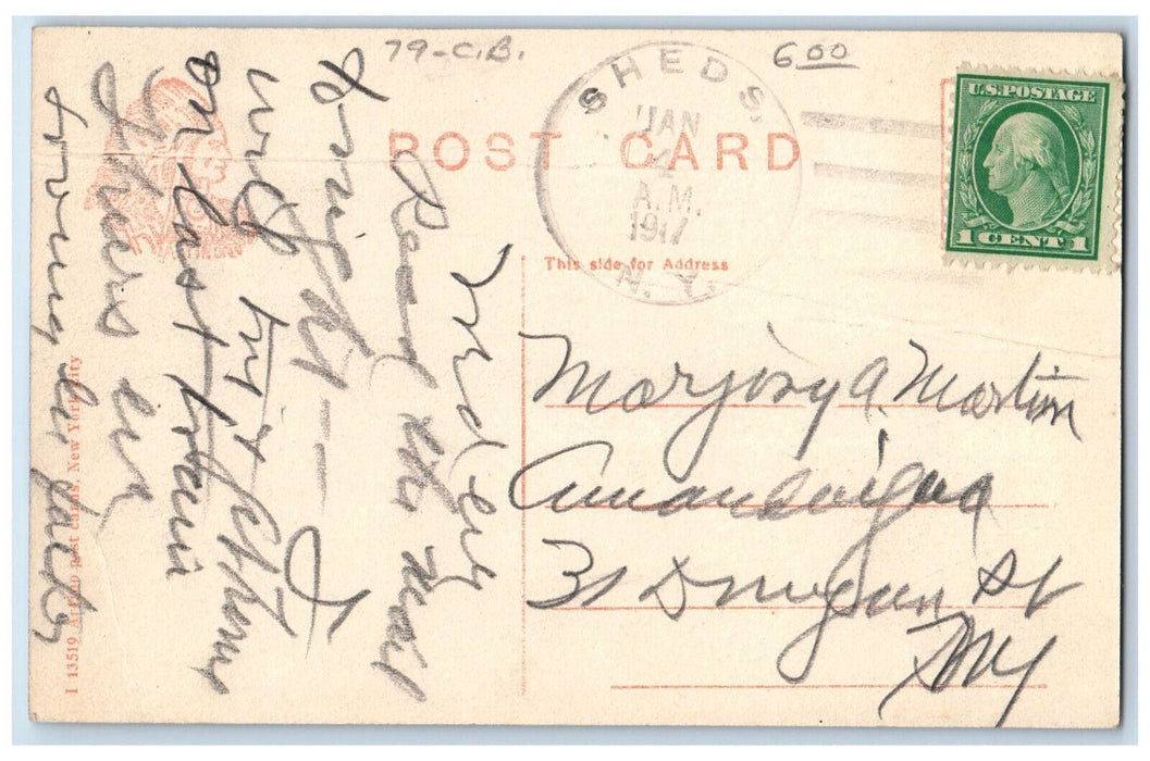 1917 Horse Carriage General Store and Post Office Sheds New York NY Postcard