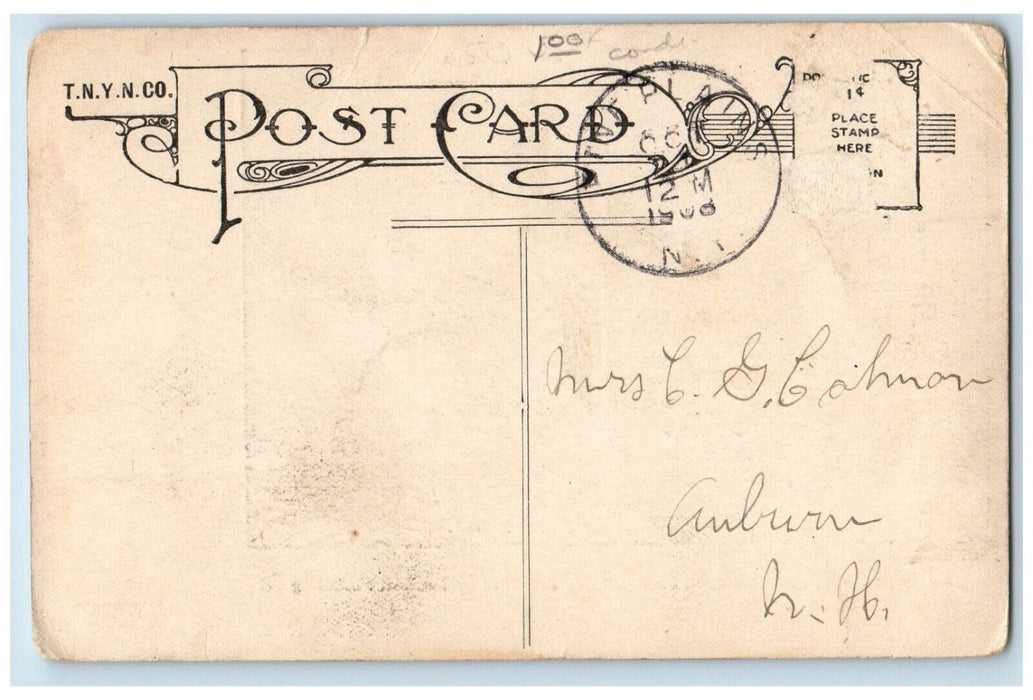 1908 Main Street Pine Plains New York NY Bowman Publishing Co. Postcard