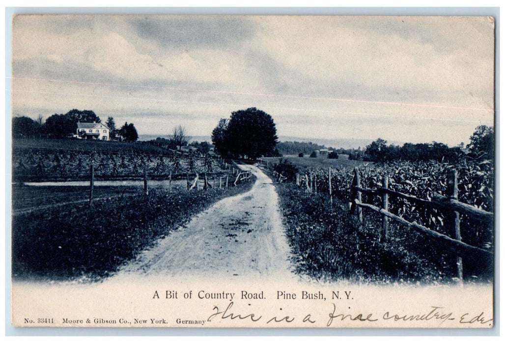 1906 A Bit of Country Road Pine Bush New York NY Antique Posted Postcard