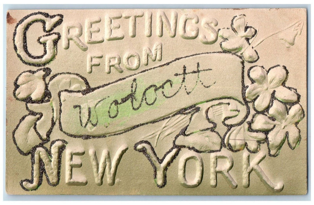 1908 Greetings from Wolcott New York NY Emboseed Airbrush Posted Postcard
