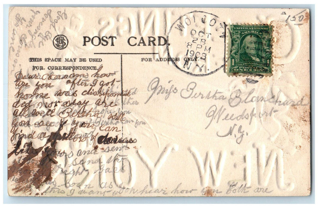 1908 Greetings from Wolcott New York NY Emboseed Airbrush Posted Postcard