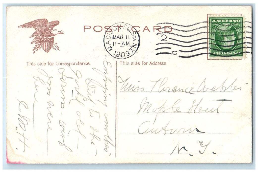 1909 Hotel Majestic and Central Park West New York NY Antique Postcard