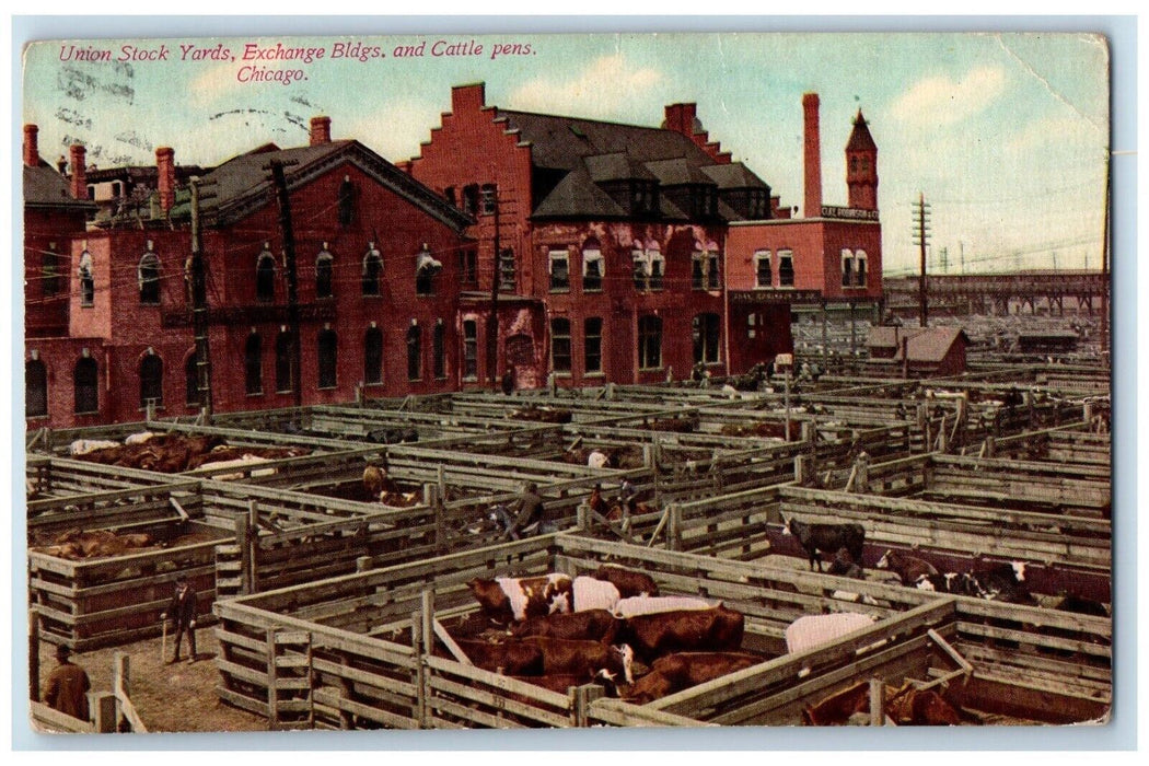 c1910's Union Stock Yard Exchange Bldgs. And Cattle Pens Chicago IL Postcard