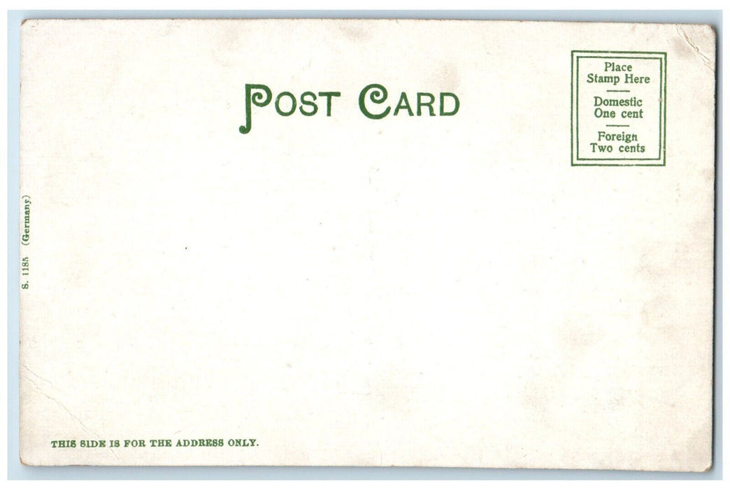 c1905 The Tourist On Old St. Joe Michigan MI, Ferry Scene Antique Postcard