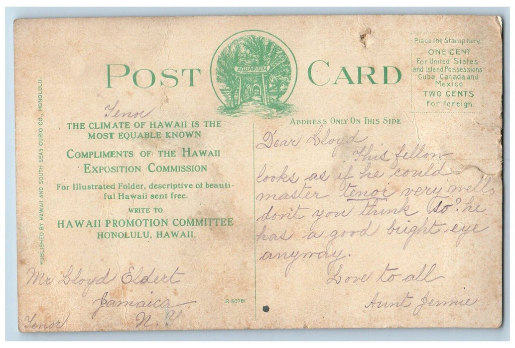 Lauhau Chaetodon Fremblii Fish Hawaii Exposition Honolulu HI Posted Postcard