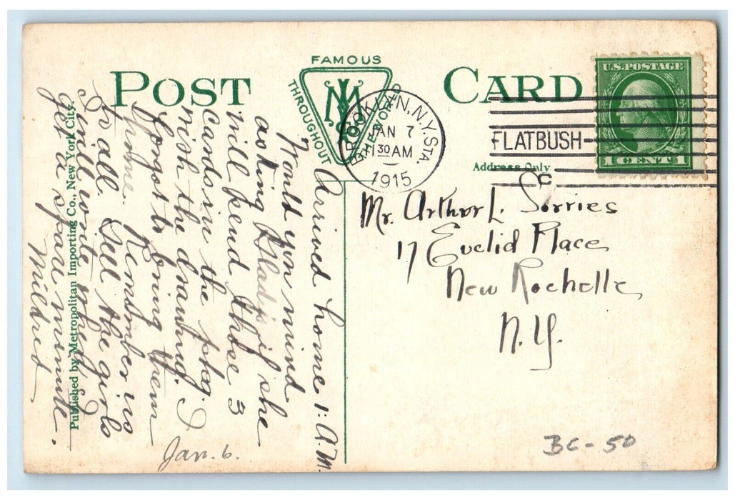 1915 Entrance To Melrose Park Flatbush Brooklyn New York NY Antique Postcard