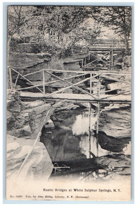 1909 Rustic Bridges At White Sulphur Springs New York NY Posted Antique Postcard