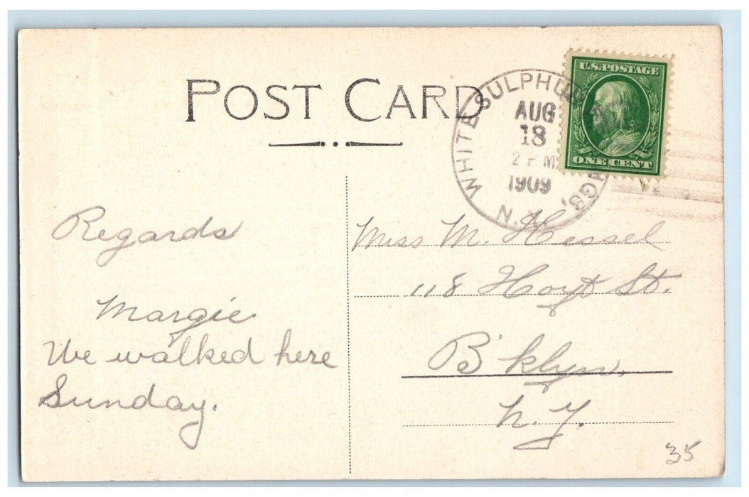 1909 Rustic Bridges At White Sulphur Springs New York NY Posted Antique Postcard