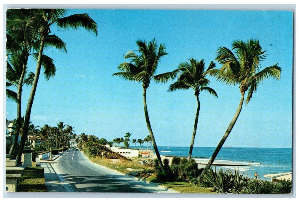 1961 View Of Beach As Seen From Ocean Blvd. In Palm Beach Florida FL Postcard