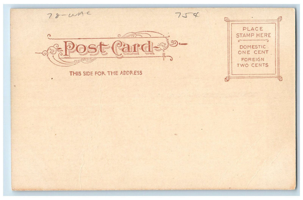c1905 Tioga Lodge Senator Platt's Residence Monroe New York NY Antique Postcard