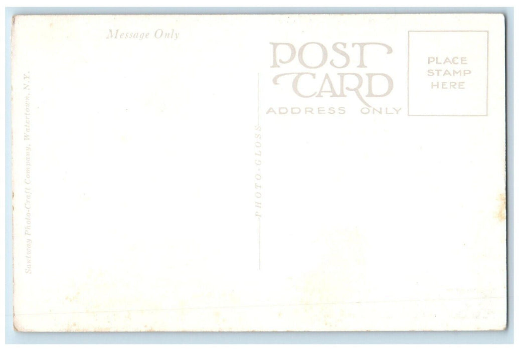 c1910's Thousands Of Birds Line The Tamiami Trail Through The Eyeglades Postcard