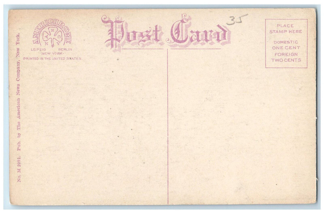 c1910 Boats Car Lake Ophelia Liberty New York NY Unposted Antique Postcard
