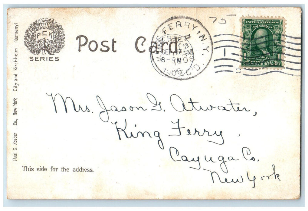 1906 Liberty House Liberty New York NY King Ferry NY Posted Postcard