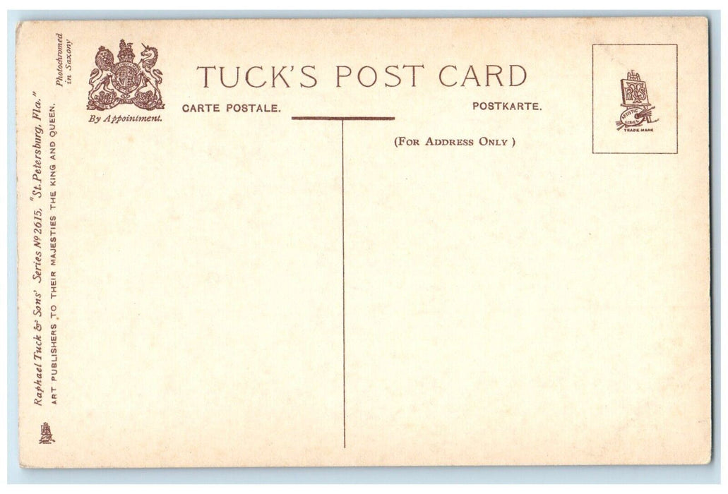 c1910's St. Petersburg FL, View From Water Front Steamer Ship Tuck's Postcard