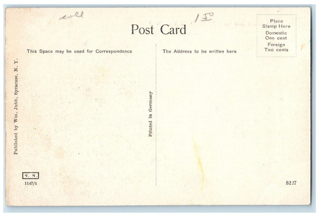 c1910's Public Dock And Boat Troant Dexter New York NY Unposted Antique Postcard