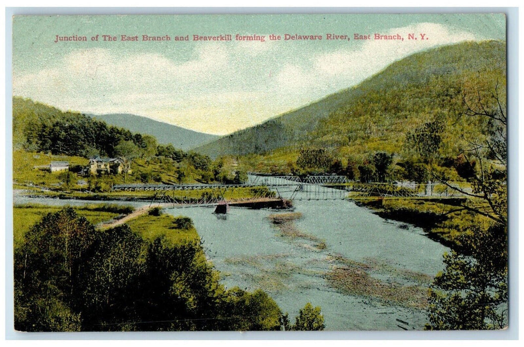 1910 Junction Of The East Branch Beaverkill Delaware River Bridge NY Postcard