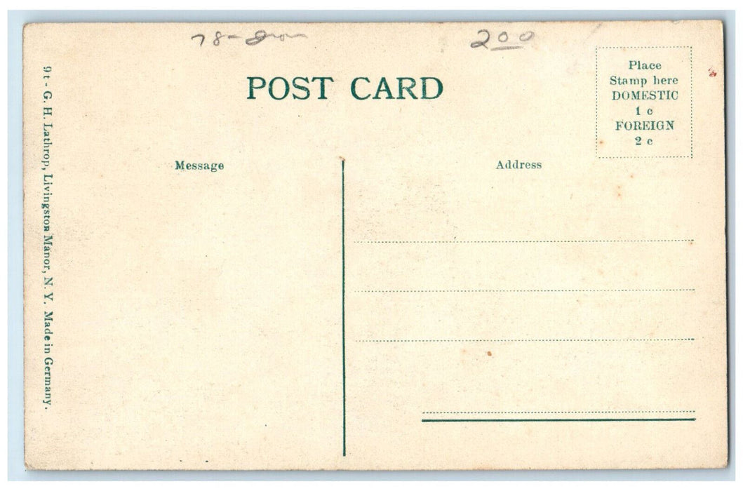 c1910 Union School Livingston Manor New York NY Posted GH Lathrop Postcard