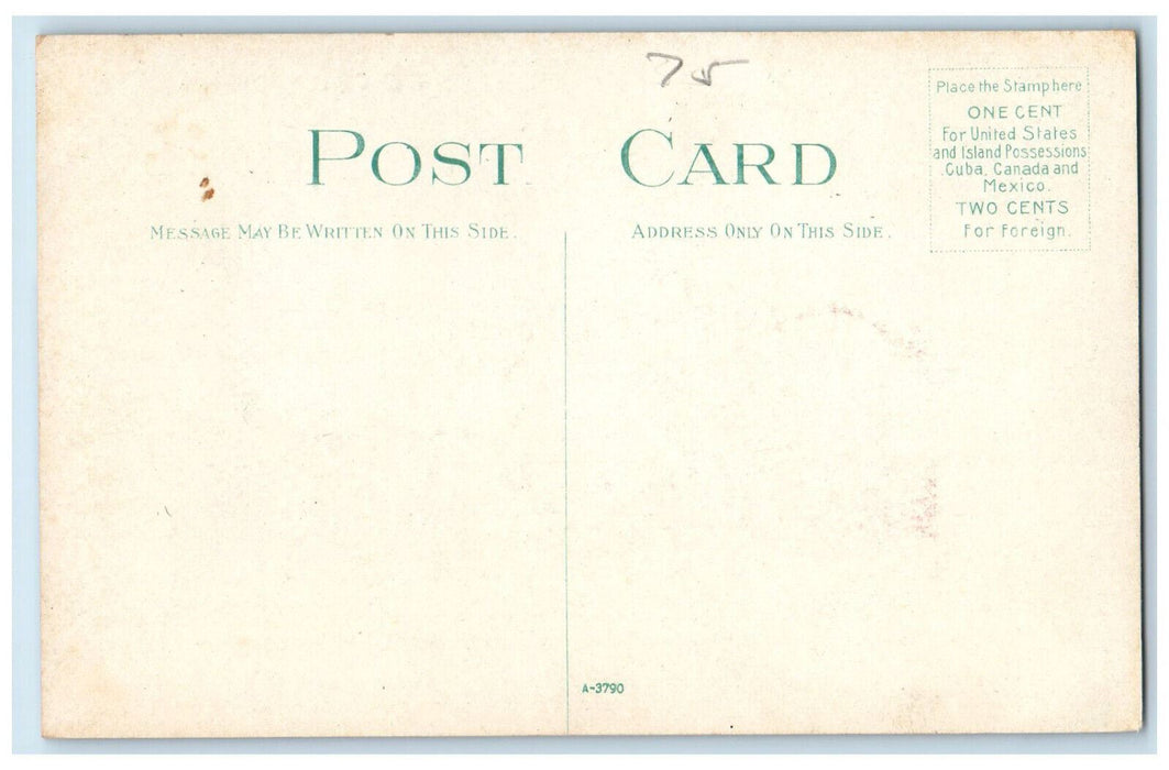 c1910 View from Road High School US Flag Jamestown New York NY Postcard