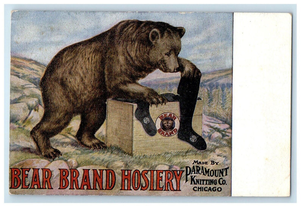 Bear Brand Hosiery Socks On Box Advertising Knitting Co. Chicago IL Postcard