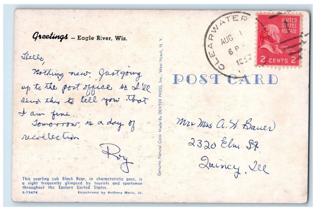 1957 Big Black Bear Scene, Greetings Eagle River Wisconsin WI Postcard