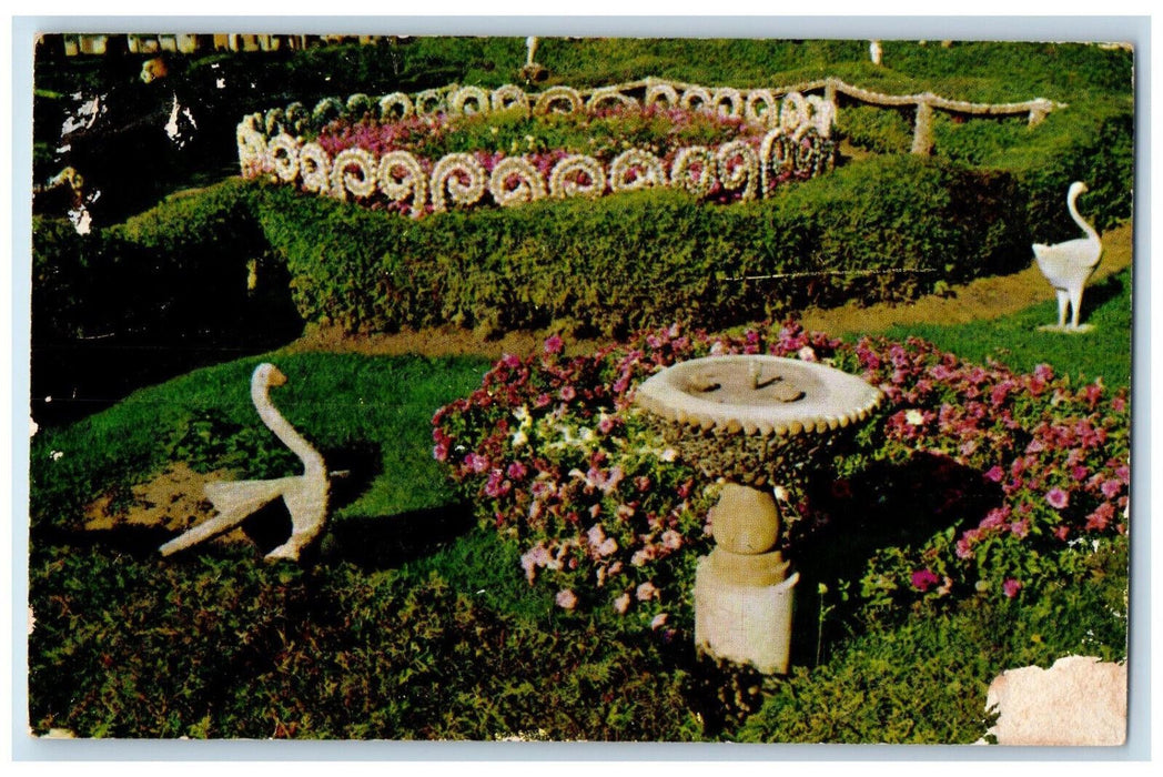 c1950's Gardens and Seashell Flower Ring Dickeyville Wisconsin WI Postcard