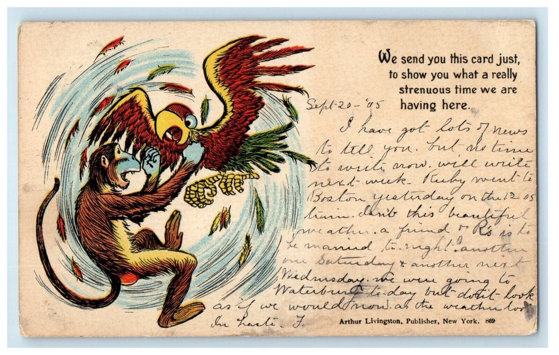 1905 Tge Parrot And Fighting Monkey Animals Posted Antique Postcard