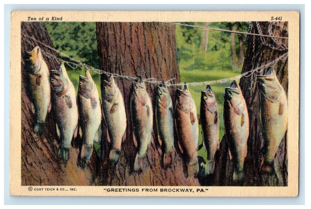 1942 Scene Near Rangeley Lake House Dixons Island Maine ME, Fishes Postcard