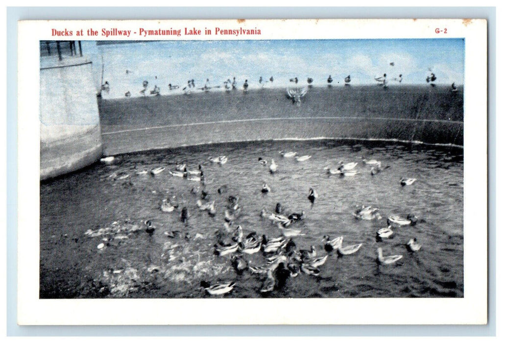 Ducks At The Spillway Pymatuning Lake Pennsylvania PA Unposted Vintage Postcard