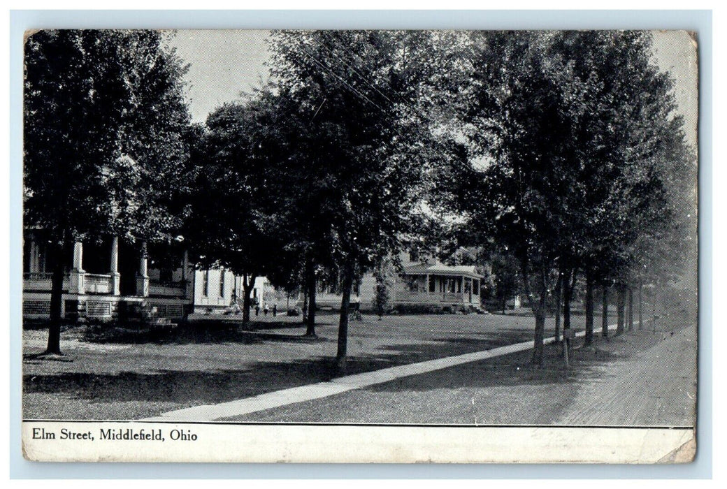 1909 Elm Street View Road And Lined Trees Middlefield Ohio OH Antique Postcard