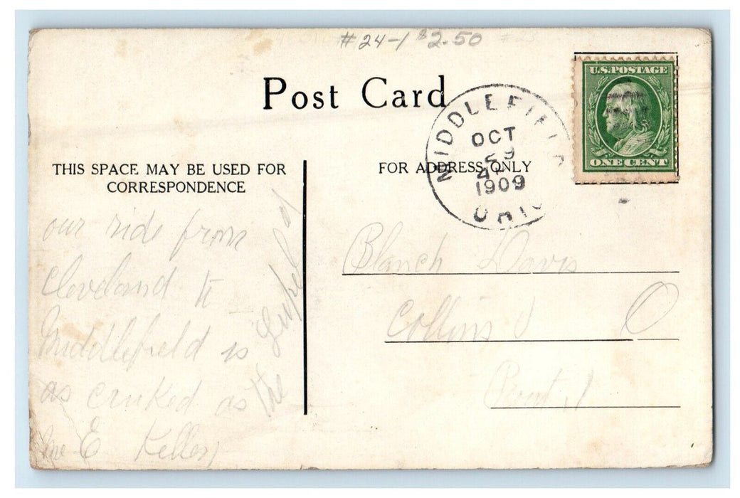 1909 Elm Street View Road And Lined Trees Middlefield Ohio OH Antique Postcard