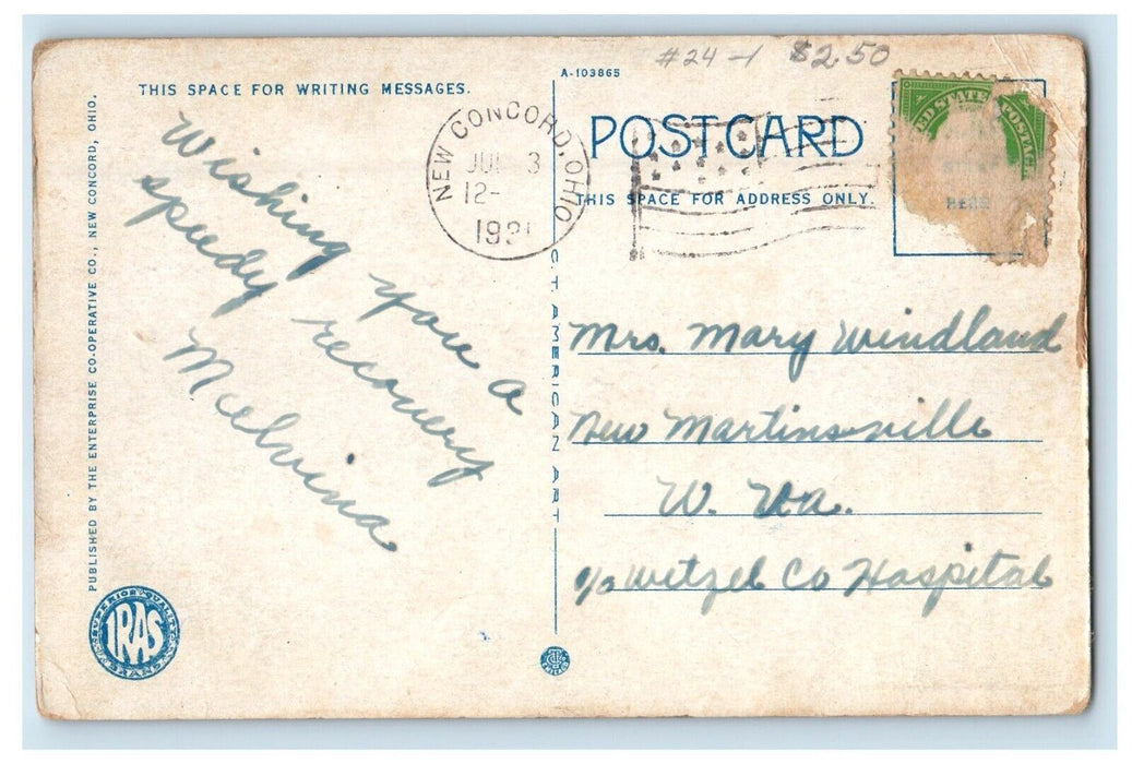 Bird's Eye View Present Proposed Bldgs Muskingum College New Concord OH Postcard