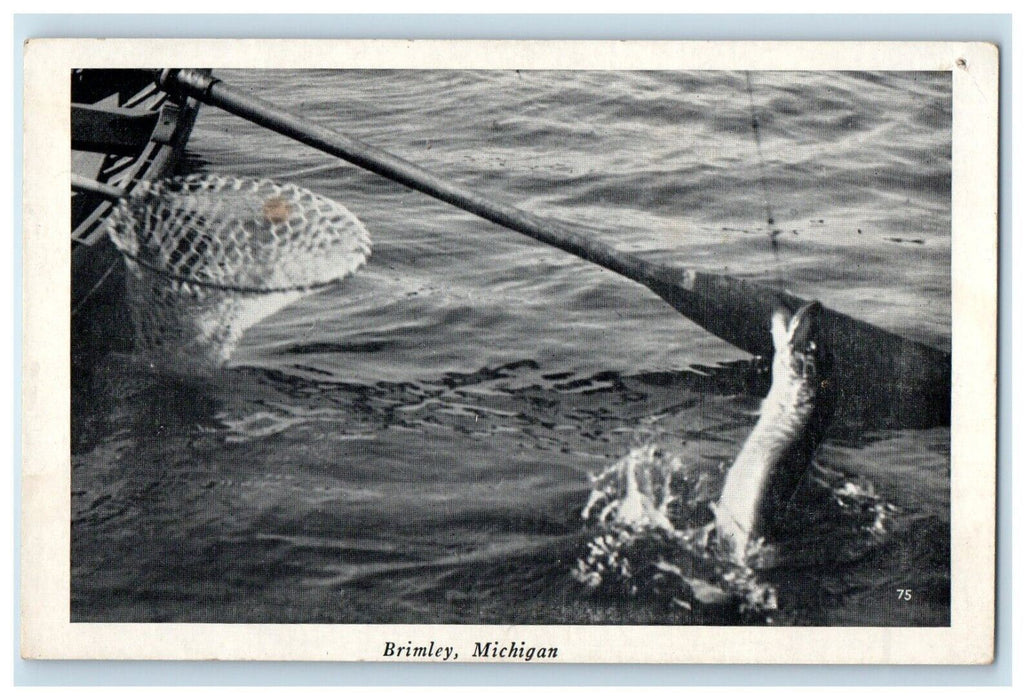 c1905 Boat Paddle Fish Net Catched Fish Brimley Michigan MI Antique Postcard