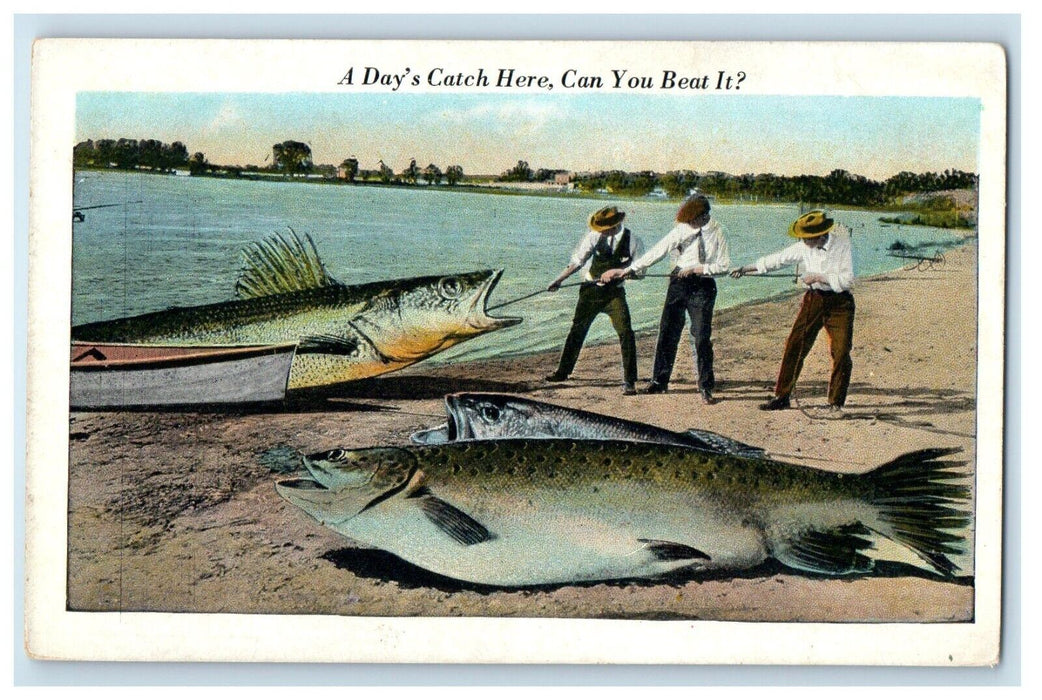 Three Boys Catched Exaggerated Fishes Unposted Vintage Postcard