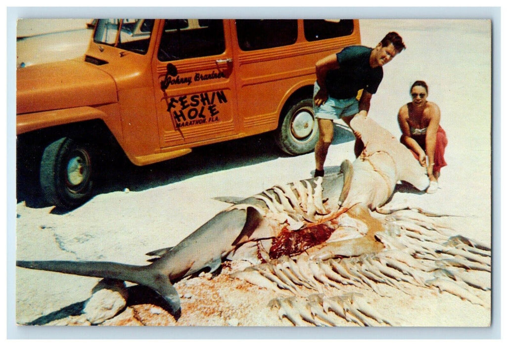 A Great Hammerhead Shark Feshin Hole Marathon FL, Exaggerated Fish Postcard