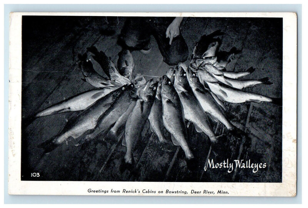 1955 Greetings From Renick's Cabins On Bowstring Deer River MN, Fishes Postcard