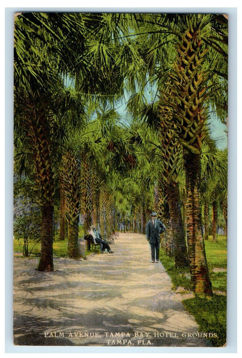 c1910's Palm Venue Tampa Bay Hotel Grounds Tampa Florida FL Antique Postcard