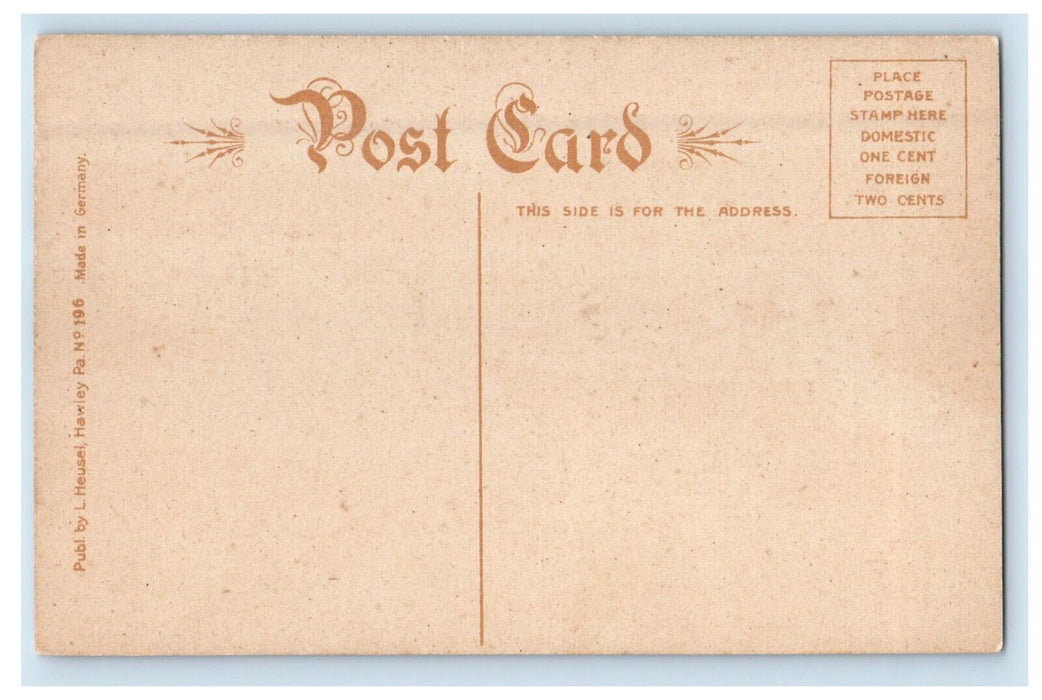 c1910 Boat Landing Panther Lake Wayne Co. Pennsylvania PA Unposted Postcard