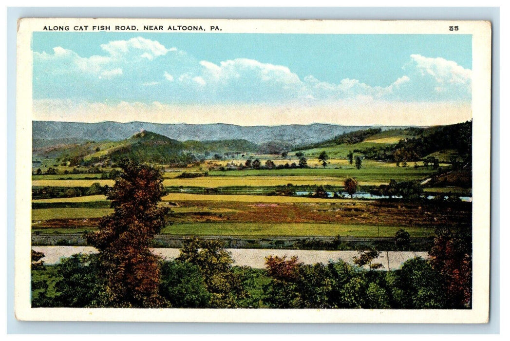 c1920's View Of Along Cat Fish Road Near Altoona Pennsylvania PA Postcard