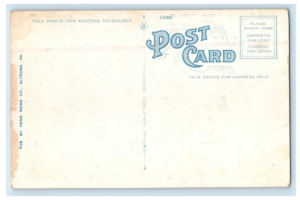 c1920's View Of Along Cat Fish Road Near Altoona Pennsylvania PA Postcard